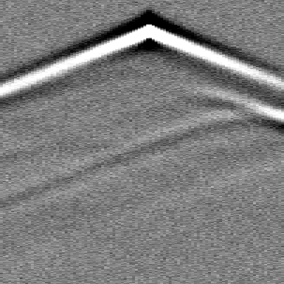 Observed shot gather (Noisy (σ = 1))
